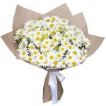 Букет из 101 ромашки
