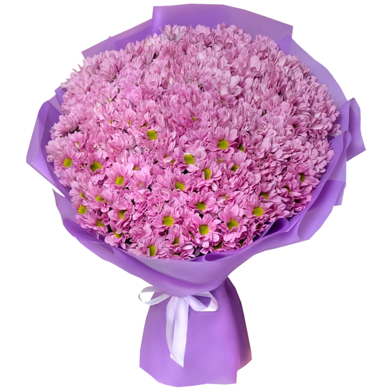 Букет из 35 ромашковых розовых хризантем