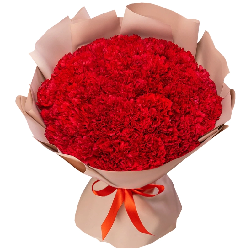 Букет из 51 красной гвоздики